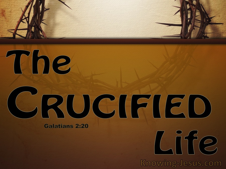 Galatians 2:20 Crucified With Christ (beige)